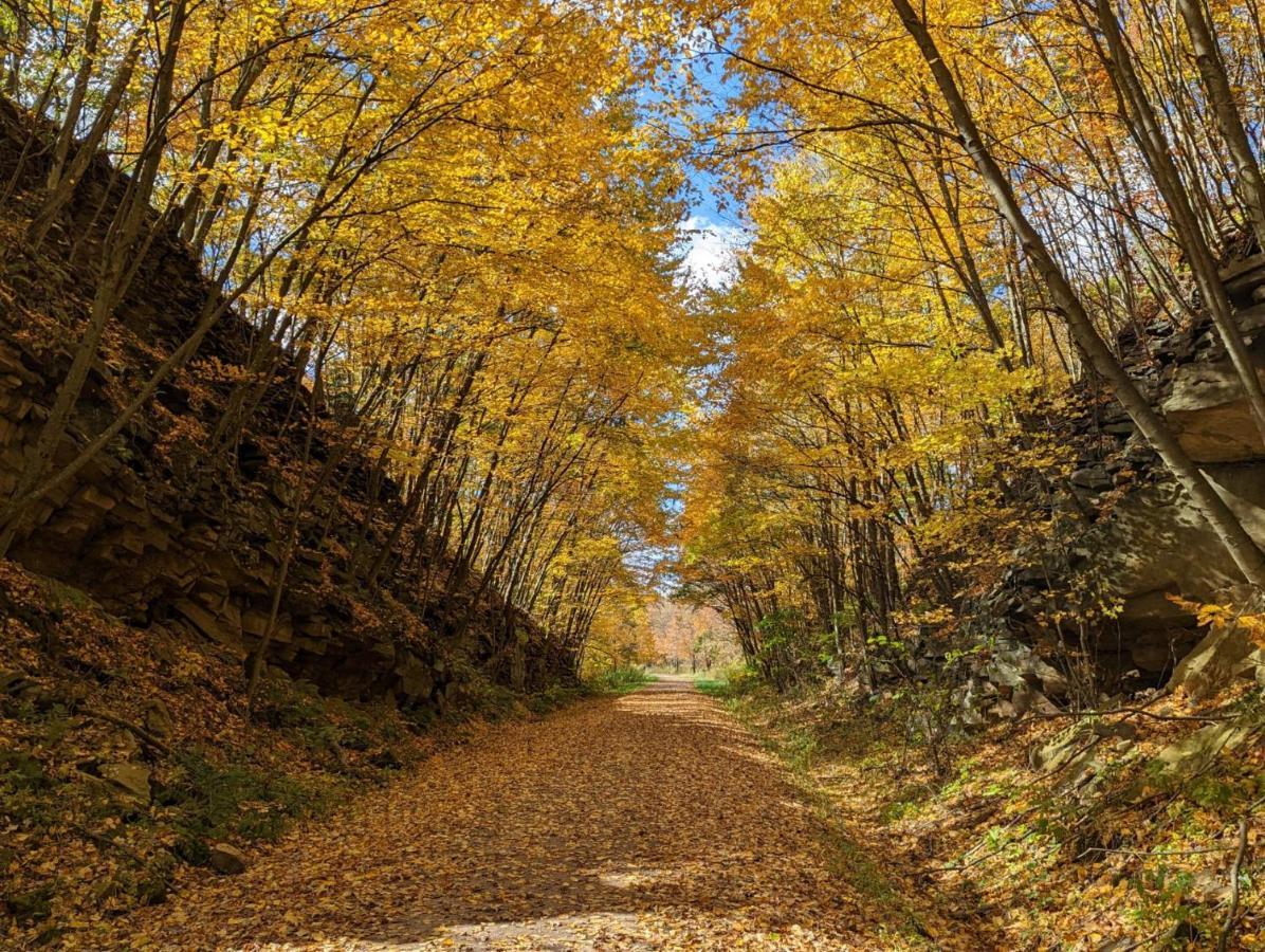 Stay In Ohiopyle In The Middle Of Town By The Gap Trail Exterior photo